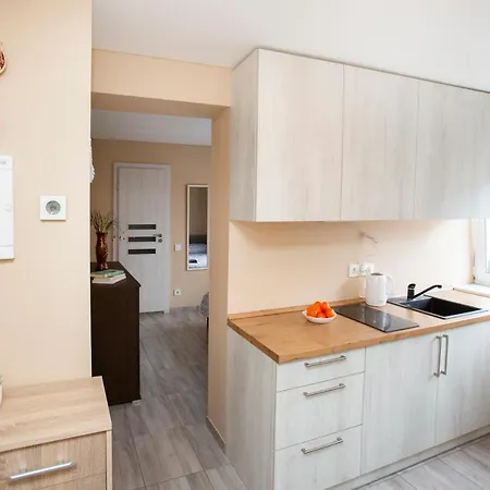 Chill&Go Apartment Kaunas Buitenkant foto